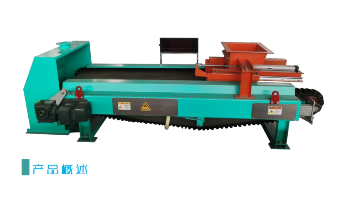 Belt weigh feeder